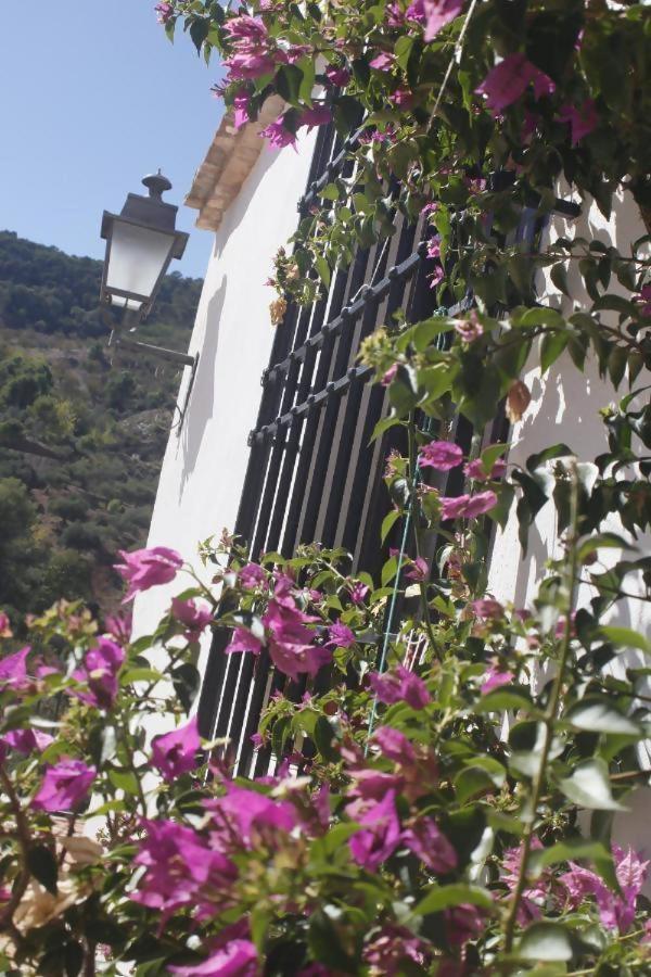 Lagar De Trevenez Montes De Chaleter *