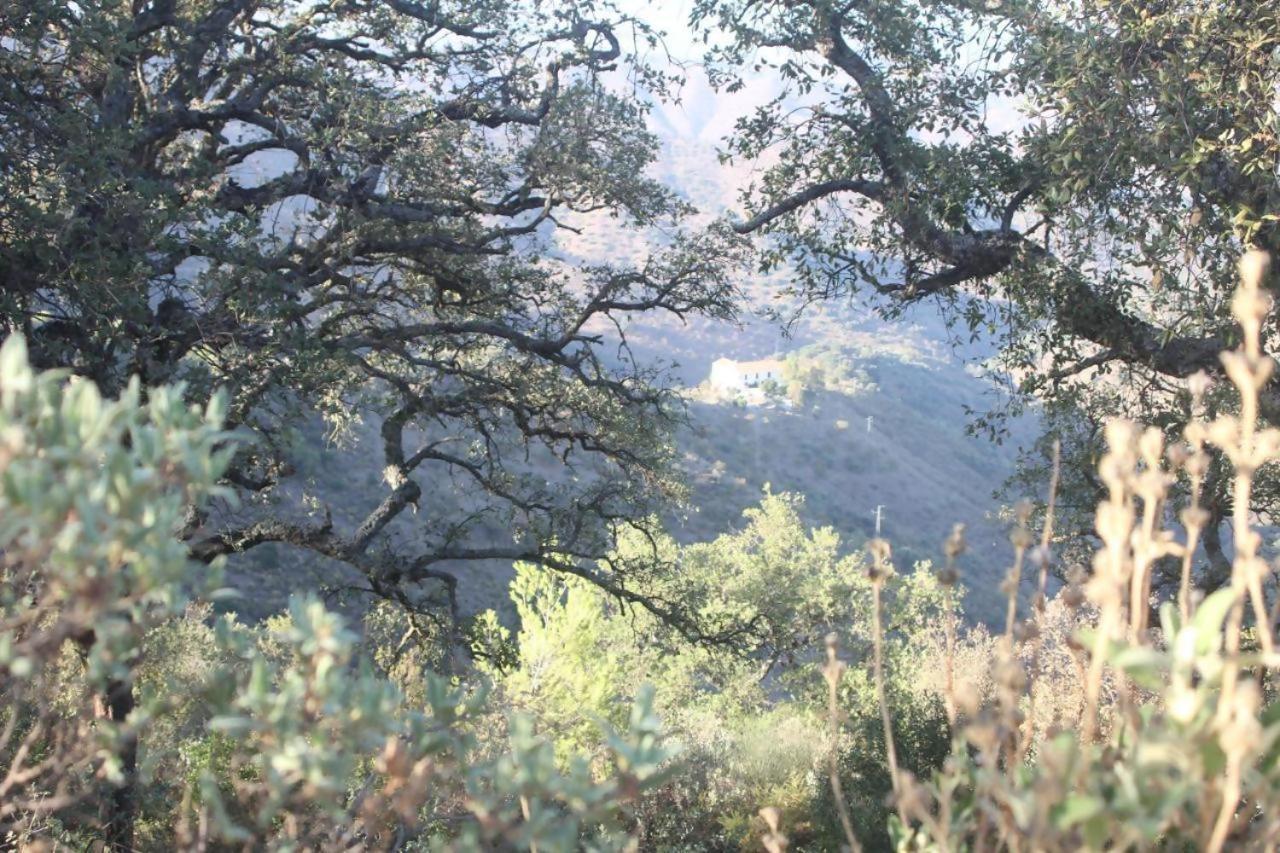Lagar De Trevenez Montes De Chaleter Málaga