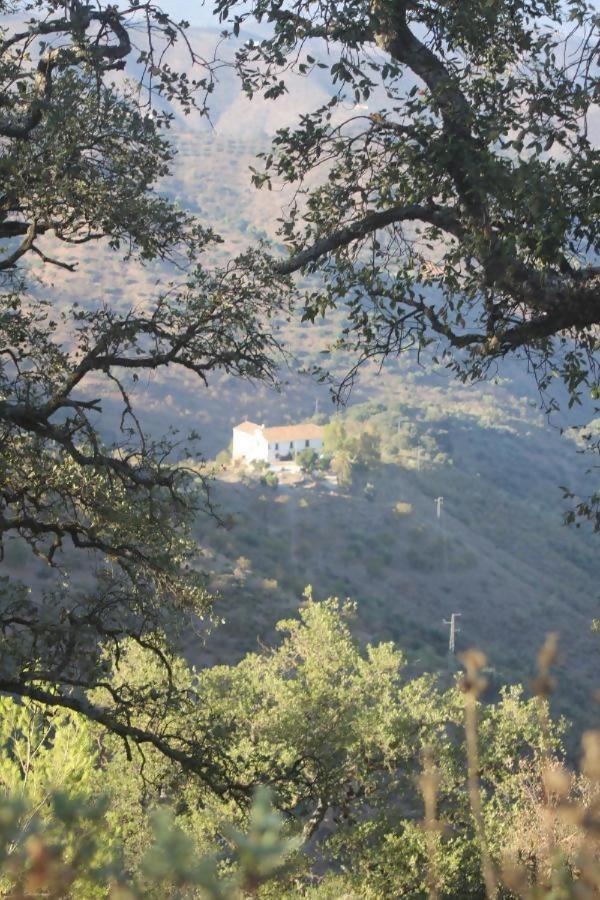 Lagar De Trevenez Montes De Chaleter Málaga